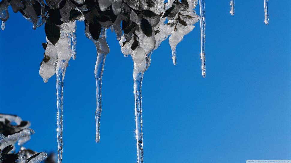 Icicles Winter Ice Frozen Blue HD wallpaper,nature HD wallpaper,blue HD wallpaper,winter HD wallpaper,ice HD wallpaper,frozen HD wallpaper,icicles HD wallpaper,2560x1440 wallpaper