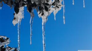 Icicles Winter Ice Frozen Blue HD wallpaper thumb