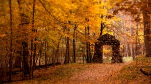 Autumn Trees Tilt-Shift Door Path Trail HD wallpaper thumb