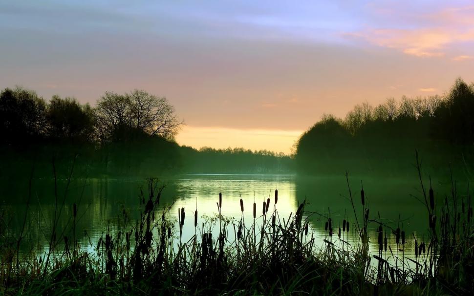 Early morning lake scenery, mist, reeds, trees wallpaper,Early HD wallpaper,Morning HD wallpaper,Lake HD wallpaper,Scenery HD wallpaper,Mist HD wallpaper,Reeds HD wallpaper,Trees HD wallpaper,1920x1200 wallpaper