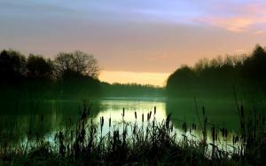 Early morning lake scenery, mist, reeds, trees wallpaper thumb
