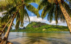 Nature, Landscape, Sky, Island, Bora Bora, Palm Trees, Sea, Bay, Mountain, Tropical wallpaper thumb