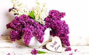 Lilac Purple Flowers with Love wallpaper thumb
