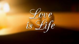 Love Is Life Quotes HD wallpaper thumb