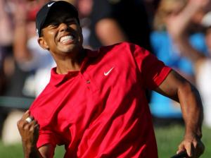 Tiger Woods, Celebrities, Golf Player, Sport, Win wallpaper thumb