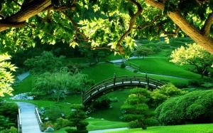 Park with trees and bridges wallpaper thumb