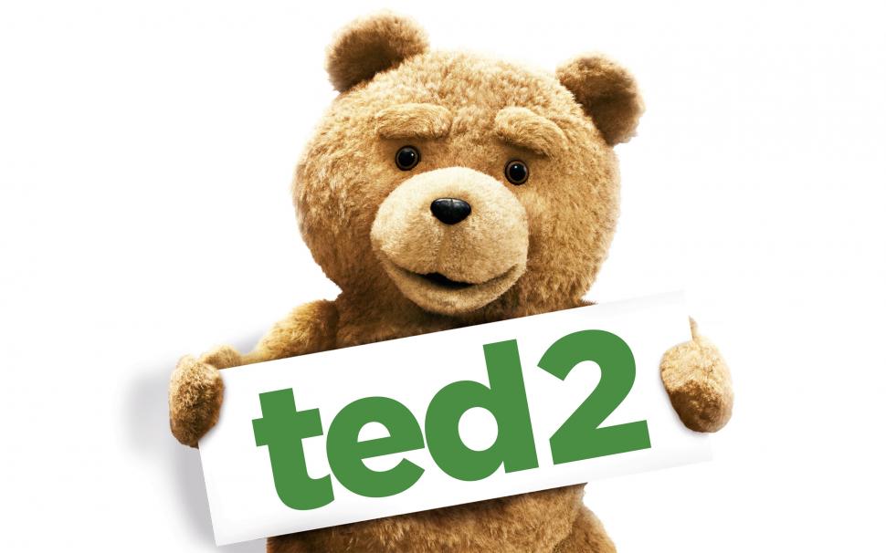 Ted 2, Teddy Bear, White Background wallpaper,ted 2 HD wallpaper,teddy bear HD wallpaper,white background HD wallpaper,2880x1800 wallpaper