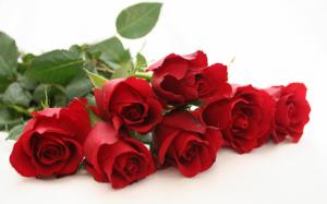Cute Red Rose Flower Free  Background For Computer wallpaper thumb