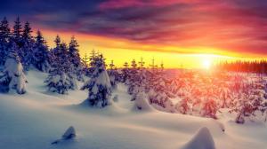 Sunset, winter, thick snow, trees wallpaper thumb
