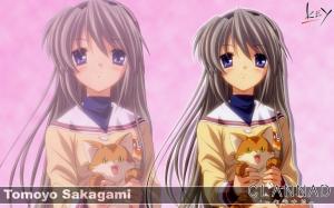 Anime, Anime Girls, Clannad, Sakagami Tomoyo, Cat wallpaper thumb