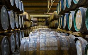 Winery, wood barrels wallpaper thumb