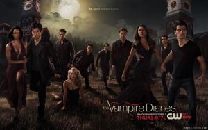 Vampire Diaries TV Series 2014 wallpaper thumb