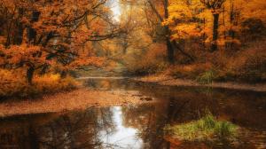 Nature Autumn River  Desktop HD wallpaper thumb