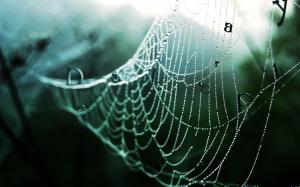 Desktopography letters in the spider web wallpaper thumb