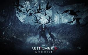 The Witcher 3 Wild Hunt, Game, Poster, Monster wallpaper thumb