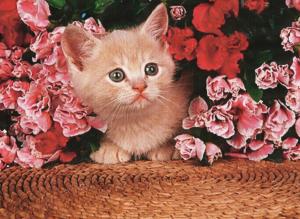 Kitten Under The Flowers wallpaper thumb