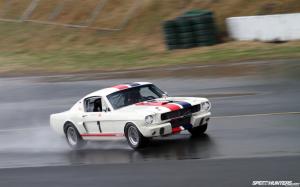 Ford Mustang Shelby GT350 HD wallpaper thumb