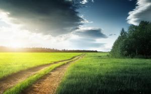 Nature scenery, fields, grass, trees, clouds, road wallpaper thumb