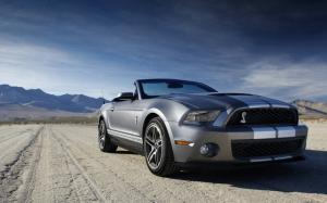 Ford Shelby Mustang GT 500Related Car Wallpapers wallpaper thumb