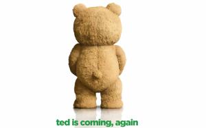 Ted 2 2015 wallpaper thumb