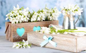 Spring Snowdrops Flowers Bouquet wallpaper thumb