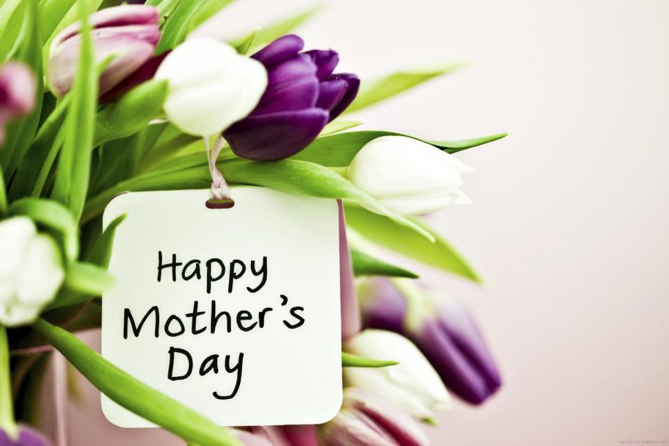 Happy mother's day wallpaper,holidays wallpaper,mother day wallpaper,flower wallpaper,mom wallpaper,tulip wallpaper,1697x1131 wallpaper
