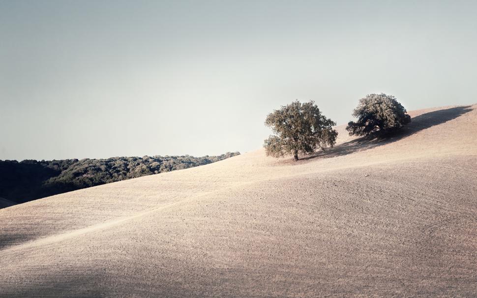 Photography, Landscape, Nature, Filter, Field, Trees, Clear Sky, Muted wallpaper,photography HD wallpaper,landscape HD wallpaper,nature HD wallpaper,filter HD wallpaper,field HD wallpaper,trees HD wallpaper,clear sky HD wallpaper,muted HD wallpaper,2560x1600 HD wallpaper,2560x1600 wallpaper