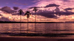 Beach, bay, palm trees, sunset, purple wallpaper thumb