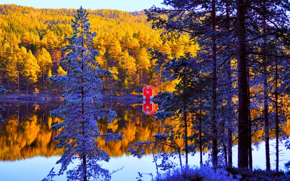 House At Autumn River wallpaper,reflection HD wallpaper,pine needles HD wallpaper,norway HD wallpaper,trees HD wallpaper,forest HD wallpaper,beach HD wallpaper,house HD wallpaper,boat HD wallpaper,river HD wallpaper,autumn HD wallpaper,nature & landscap HD wallpaper,1920x1200 wallpaper