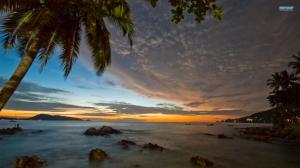 Tropical Coast Sunset Palm Tree Ocean Rocks Stones HD wallpaper thumb