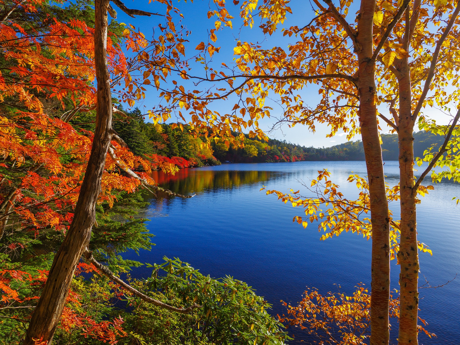 Autumn, lake, trees, forest, sky wallpaper | nature and landscape