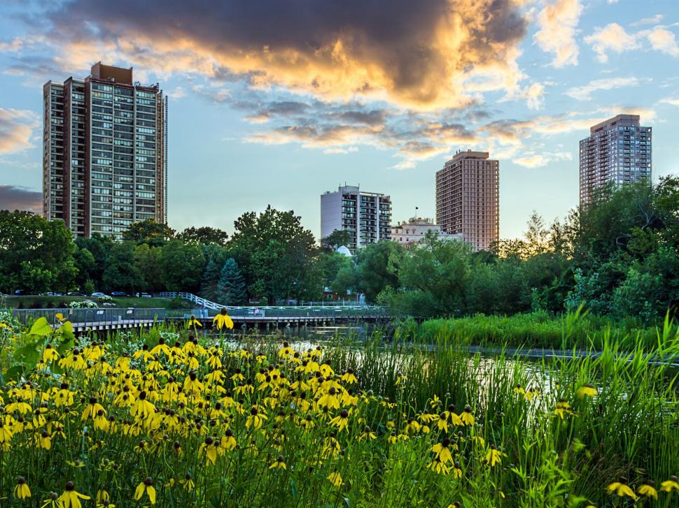 City, skyscrapers, flowers, trees, Lincoln Park, Chicago, Illinois, USA wallpaper,City HD wallpaper,Skyscrapers HD wallpaper,Flowers HD wallpaper,Trees HD wallpaper,Lincoln HD wallpaper,Park HD wallpaper,Chicago HD wallpaper,Illinois HD wallpaper,USA HD wallpaper,1920x1440 wallpaper