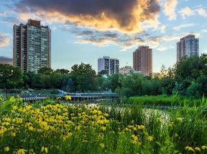 City, skyscrapers, flowers, trees, Lincoln Park, Chicago, Illinois, USA wallpaper thumb
