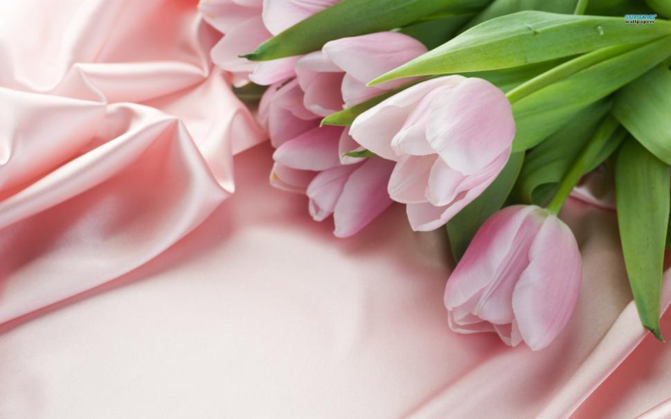 Pink Tulips on Pink Cloth wallpaper,Flowers HD wallpaper,1920x1200 wallpaper