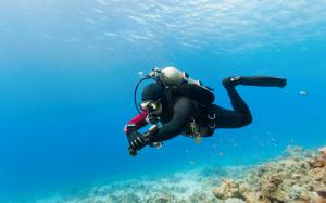 Diving recreational activity wallpaper thumb