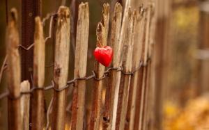 Fence Red Heart Love wallpaper thumb