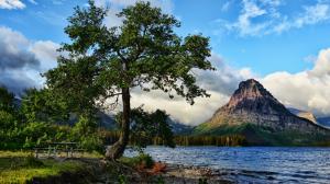Nature, Landscape, Mountain, Water, Lake, Trees, Montana, USA, Glacier National Park, Bench, Hill wallpaper thumb