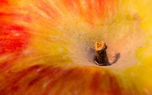 Apple close-up wallpaper thumb