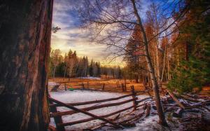 Winter, trees, wood fence, evening wallpaper thumb