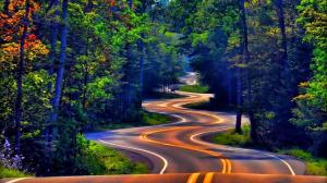 Twisty Road Through Forest wallpaper thumb