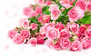 Pink rose flower bouquet, romantic color wallpaper thumb