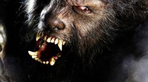 Werewolf The Wolfman Creepy Teeth HD wallpaper thumb