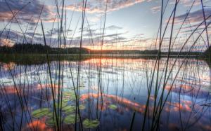 Reeds lake of sky wallpaper thumb