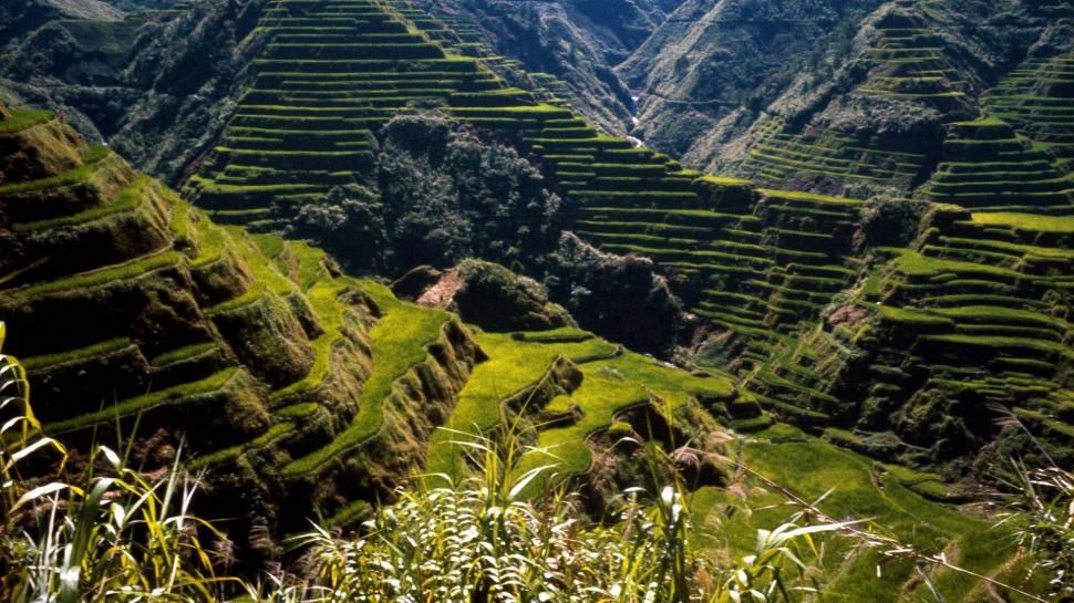 Rice Philippines Asia Ancient Terraces Wide Resolution wallpaper,mountains HD wallpaper,ancient HD wallpaper,asia HD wallpaper,philippines HD wallpaper,resolution HD wallpaper,rice HD wallpaper,terraces HD wallpaper,wide HD wallpaper,1920x1080 wallpaper