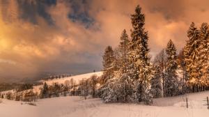Zakopane, Poland, winter, snow, trees, clouds, dusk wallpaper thumb
