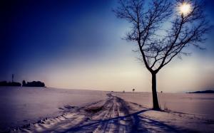 Winter, road, snow, trees, sun, dusk wallpaper thumb