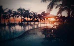Pool, water, beach, ocean, palm trees, sunset wallpaper thumb