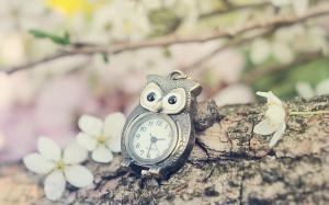 Owl Clock Flowers wallpaper thumb