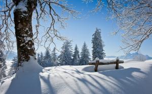 Winter beautiful landscape, thick snow, the trees, the sun wallpaper thumb