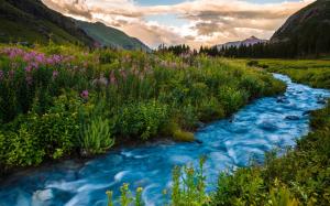 USA, Colorado, river, flowers, mountains, sunset, clouds, summer wallpaper thumb